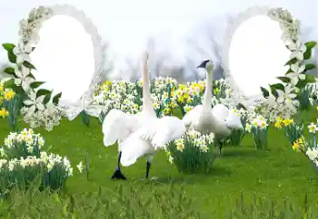 照片效果分类 婚纱照边框 № 169050