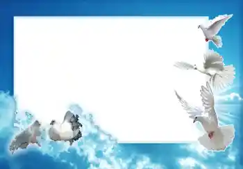 照片效果分类 婚纱照边框 № 1710 照片效果分类 婚纱照边框 № 1710