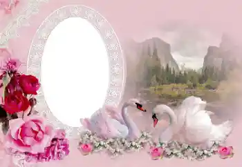 照片效果分类 婚纱照边框 № 175415