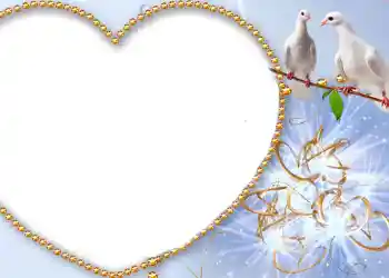 照片效果分类 婚纱照边框 № 175 照片效果分类 婚纱照边框 № 175