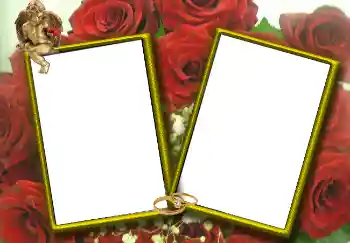 照片效果分类 婚纱照边框 № 1768 照片效果分类 婚纱照边框 № 1768