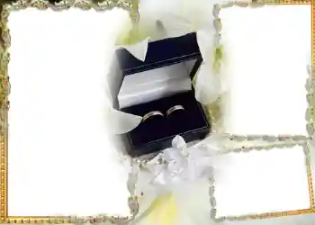 照片效果分类 婚纱照边框 № 182 照片效果分类 婚纱照边框 № 182