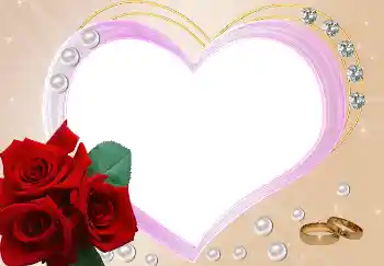 照片效果分类 婚纱照边框 № 2342 照片效果分类 婚纱照边框 № 2342