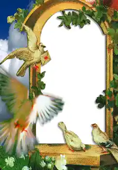 照片效果分类 婚纱照边框 № 2648 照片效果分类 婚纱照边框 № 2648