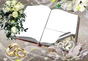 照片效果分类 婚纱照边框 № 2777 照片效果分类 婚纱照边框 № 2777