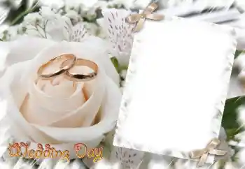 边框标语: Wedding Day 边框标语: Wedding Day