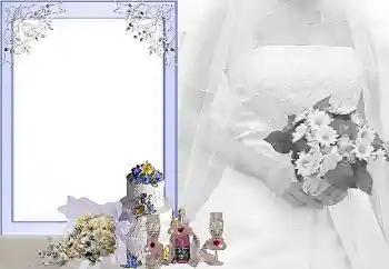 照片效果分类 婚纱照边框 № 31734 照片效果分类 婚纱照边框 № 31734