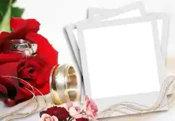 照片效果分类 婚纱照边框 № 31736 照片效果分类 婚纱照边框 № 31736