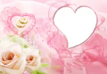 照片效果分类 婚纱照边框 № 33826 照片效果分类 婚纱照边框 № 33826