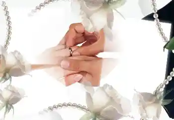 照片效果分类 婚纱照边框 № 33954 照片效果分类 婚纱照边框 № 33954