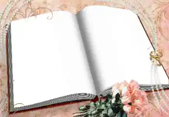 照片效果分类 婚纱照边框 № 38744 照片效果分类 婚纱照边框 № 38744