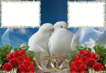 照片效果分类 婚纱照边框 № 3951 照片效果分类 婚纱照边框 № 3951