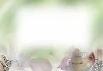 照片效果分类 婚纱照边框 № 4445 照片效果分类 婚纱照边框 № 4445