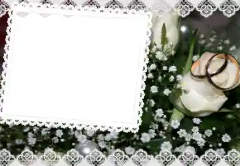 照片效果分类 婚纱照边框 № 45812 照片效果分类 婚纱照边框 № 45812