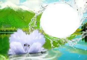 照片效果分类 婚纱照边框 № 47252 照片效果分类 婚纱照边框 № 47252