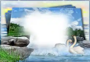 照片效果分类 婚纱照边框 № 49460 照片效果分类 婚纱照边框 № 49460