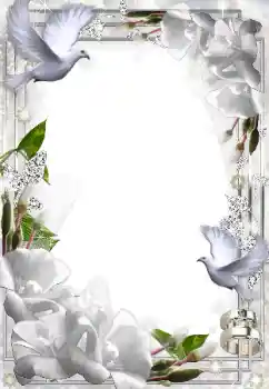 照片效果分类 婚纱照边框 № 49574 照片效果分类 婚纱照边框 № 49574