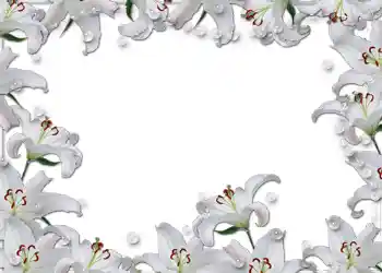 照片效果分类 婚纱照边框 № 54