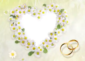 照片效果分类 婚纱照边框 № 56