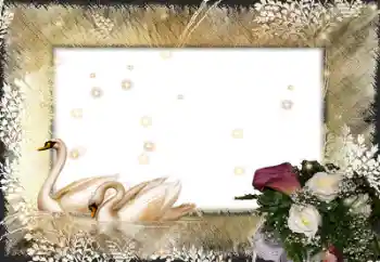 照片效果分类 婚纱照边框 № 58998 照片效果分类 婚纱照边框 № 58998