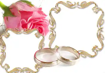 照片效果分类 婚纱照边框 № 61608 照片效果分类 婚纱照边框 № 61608