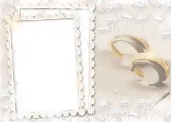 照片效果分类 婚纱照边框 № 61