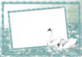 照片效果分类 婚纱照边框 № 70895 照片效果分类 婚纱照边框 № 70895