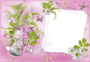 照片效果分类 婚纱照边框 № 81487 照片效果分类 婚纱照边框 № 81487