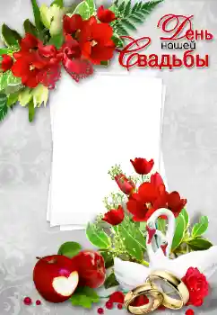 边框标语: 我们的婚礼 边框标语: 我们的婚礼