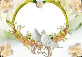 照片效果分类 婚纱照边框 № 8723 照片效果分类 婚纱照边框 № 8723