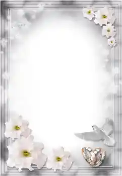 照片效果分类 婚纱照边框 № 8724 照片效果分类 婚纱照边框 № 8724