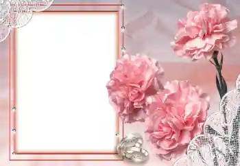 照片效果分类 婚纱照边框 № 89330 照片效果分类 婚纱照边框 № 89330