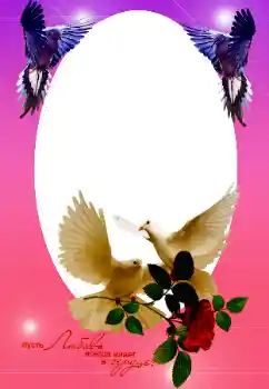 边框标语: 我们的婚礼 边框标语: 我们的婚礼