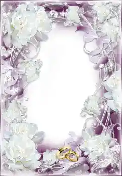 照片效果分类 婚纱照边框 № 91901 照片效果分类 婚纱照边框 № 91901