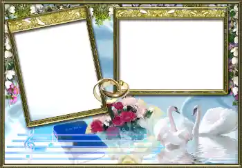 照片效果分类 婚纱照边框 № 9724 照片效果分类 婚纱照边框 № 9724