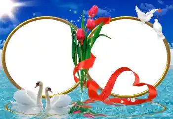 照片效果分类 婚纱照边框 № 9726 照片效果分类 婚纱照边框 № 9726