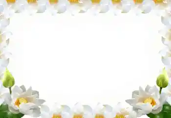 照片效果分类 女性相框 № 102569
