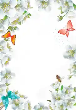 照片效果分类 女性相框 № 103777