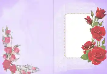 照片效果分类 女性相框 № 103839