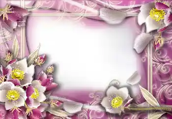 照片效果分类 女性相框 № 103964
