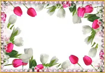 照片效果分类 女性相框 № 103965