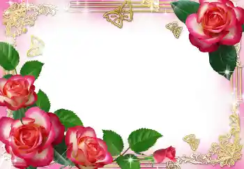 照片效果分类 女性相框 № 104029