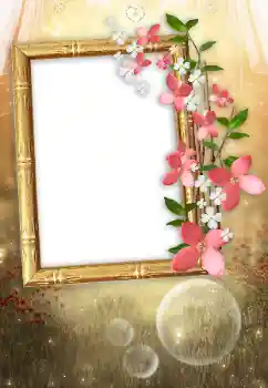 照片效果分类 女性相框 № 104034