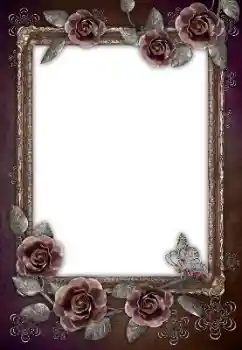 照片效果分类 女性相框 № 105180