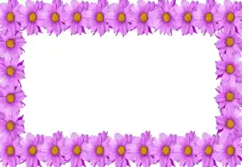 照片效果分类 女性相框 № 105414