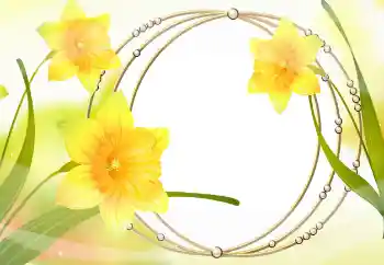 照片效果分类 女性相框 № 105478