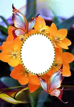 照片效果分类 女性相框 № 105575