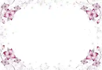 照片效果分类 女性相框 № 105650