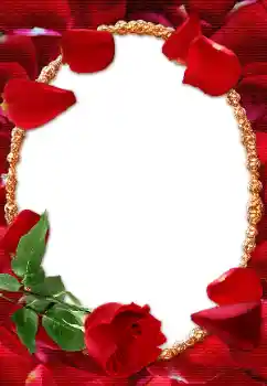 照片效果分类 女性相框 № 10938