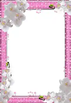 照片效果分类 女性相框 № 110793